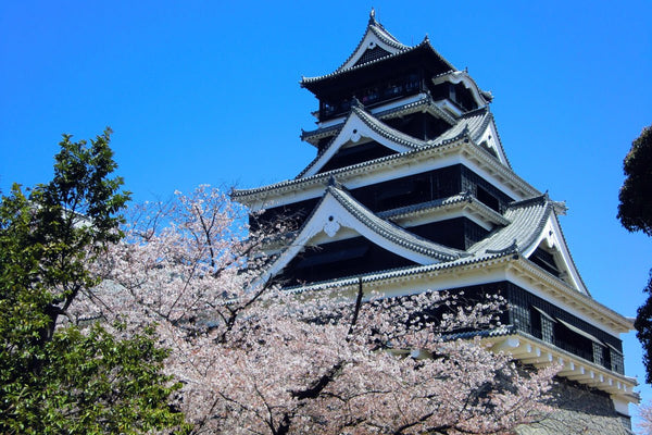 El Castillo de Kumamoto: Una Fortaleza que Pudo Ser Comestible