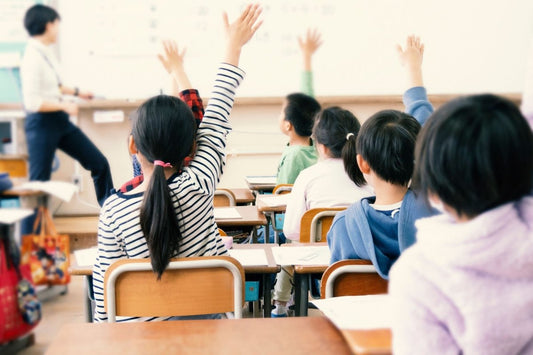 Educación Obligatoria en Japón: ¿Un enfoque peculiar? - Ala Japonesa
