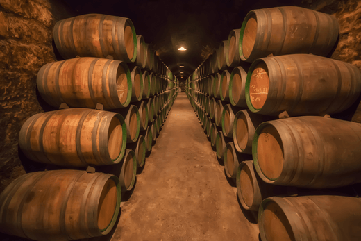 La Historia del Vino en Japón: Tradición, Innovación y Diversidad