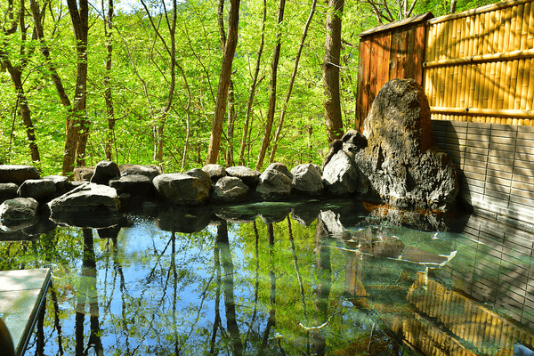 Onsens Japoneses: Sumérgete en Aguas Termales