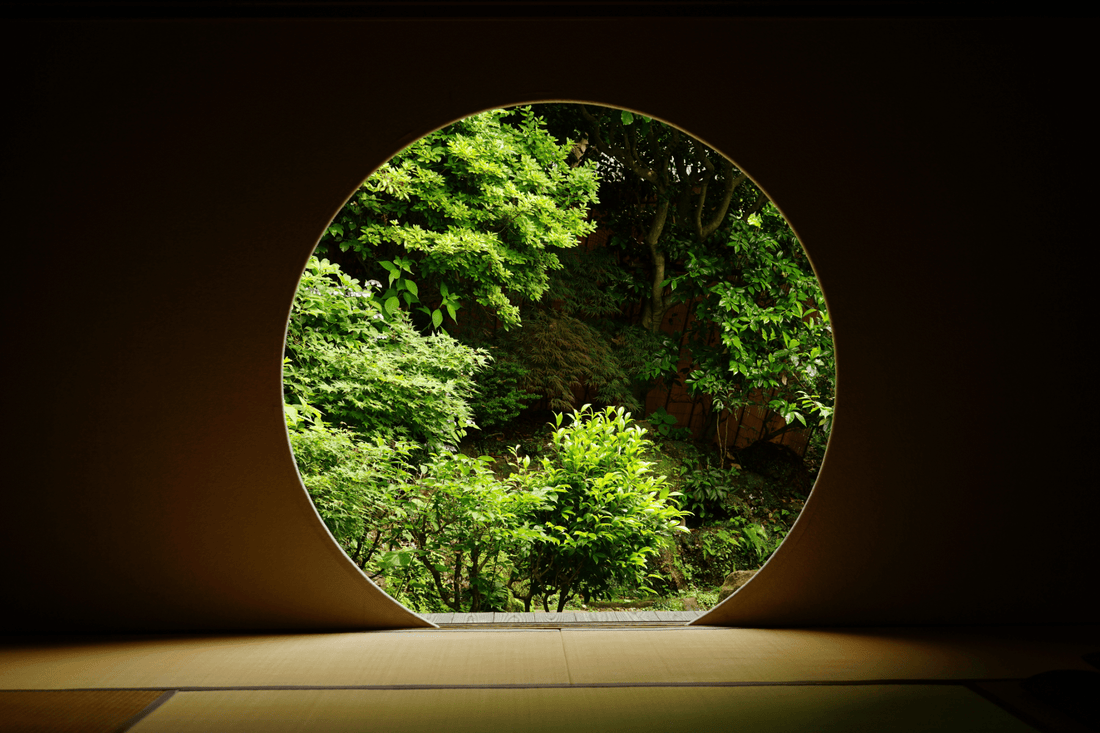 Sabiduría Zen: 3 Principios que Cambiarán tu Vida - Ala Japonesa