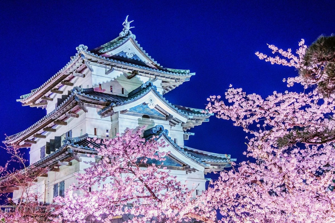 Tres Grandes Lugares de Cerezos en Flor en Japón - Ala Japonesa