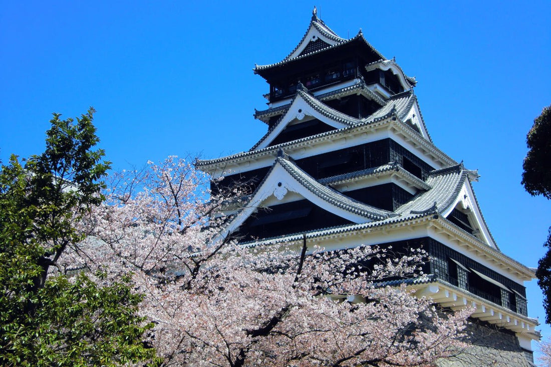 El Castillo de Kumamoto: Una Fortaleza que Pudo Ser Comestible - Ala Japonesa